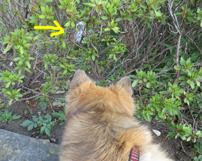 �܂����W�܂��˂��ƌ��ԈႦ��