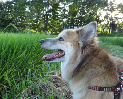 �����E�E�E