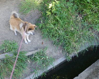 �p�����܂��܂����킭�Ȃ�