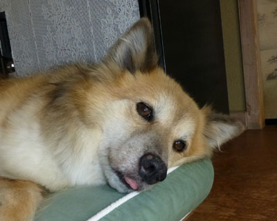 ������܂��Y�ꂽ