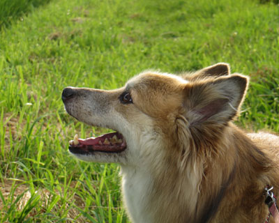 ������ƃ��ȉ�����������