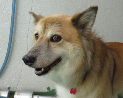 �������Ă��܂�����