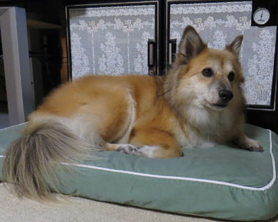 �܂��������Ă��܂���