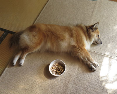 ���͂�͋C���������Ƃ������H�ׂ�