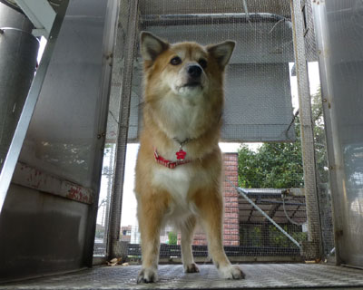 ���тŔ��������т��Ă���o������