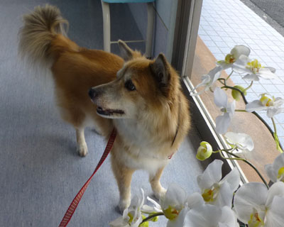 �u������ɂ����