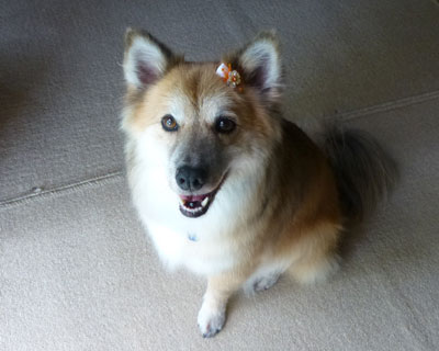 ������炢�悱���Ȃ���