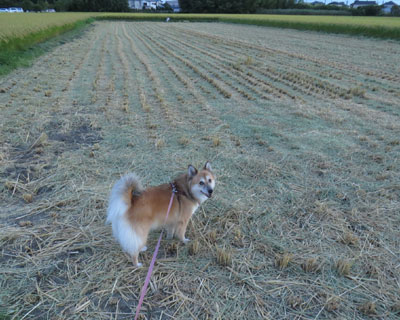 ��S�����ň�肪�n�܂�