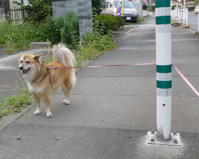 �܂��߂܂���