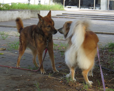 �V�j�A����