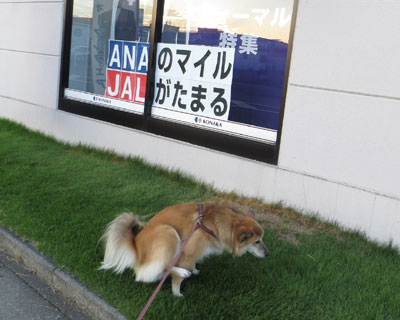 ���C�͂Ȃ����ǃ`�[