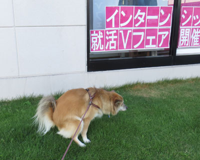 �傫���̂��o��