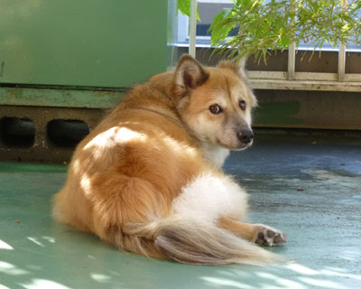 ��������炸���A�ŋx�e