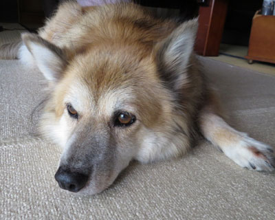 �����┭�����H