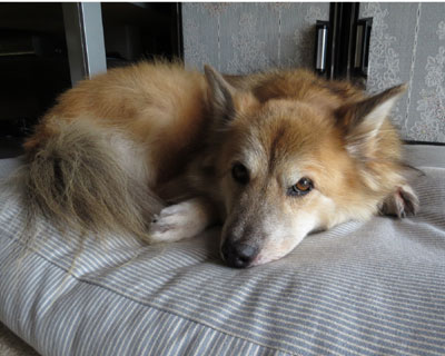 �܂��܂��Ȃ񂶂�Ȃ��H