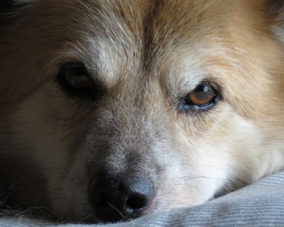 ������Ɩ����������