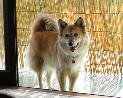 ���N�͂悵�������􂷂��