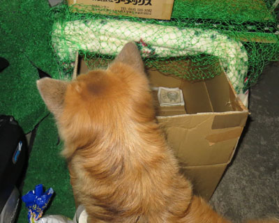 �����͖��ɏL��