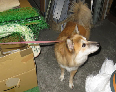 �˂��͏�ɂ��邱�Ƃ�����񂾂�