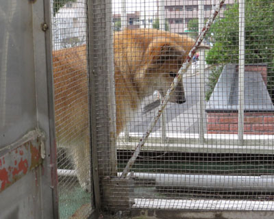 ���t�g�̌��Ԃ���˂���T��