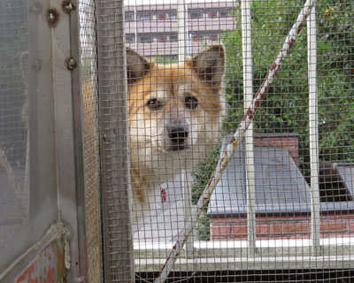 ���܂ɐ�����������񂾂�