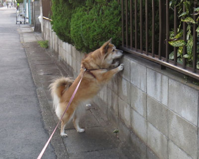 �����͂悭�˂�������