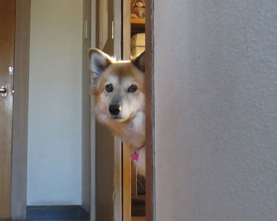 �˂��E�E�E