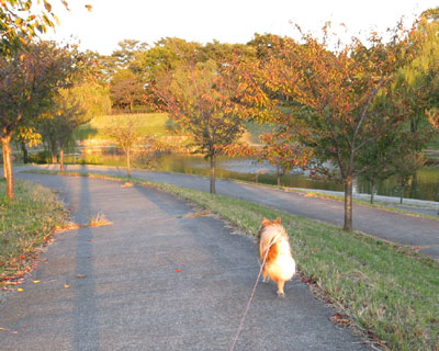 �P�P���̍g�t