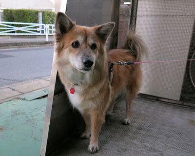 �A��͂Ȃ�����Ȃ����