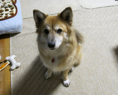 �A�����Ƃ���ɃL���b�Ƃ����v��