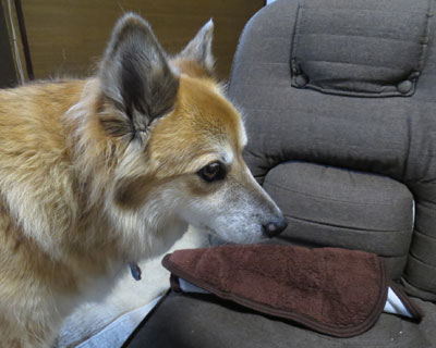 �߂���Ă邩�����Ȃ��E�E�E