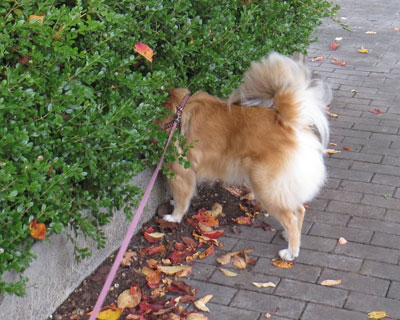 �˂���������