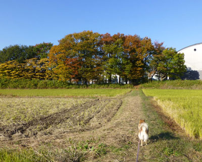 ���N�̍g�t���`�F�b�N