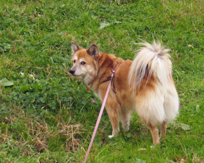 �Ȃ����Ζʂ��D��