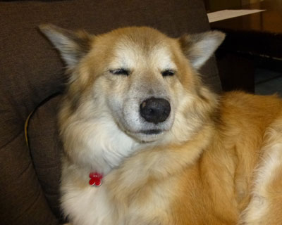 ����ɂ���΍����