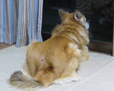 �O�ɏo����