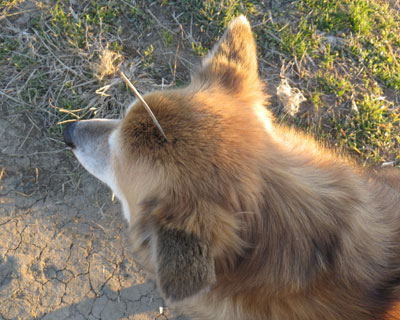 �h�������E�E�E