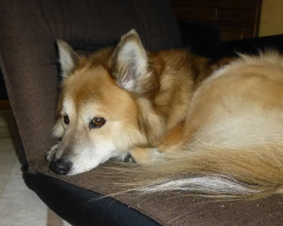 ���S���ĐQ����