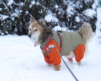 �������