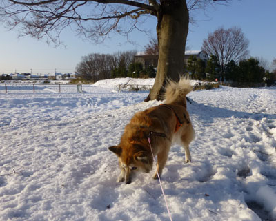 �����͐��ꂽ