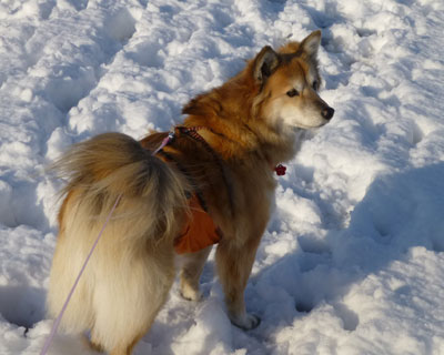 ���ڂ���