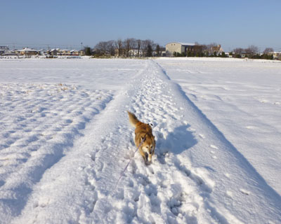 �e�͂Ȃ�����