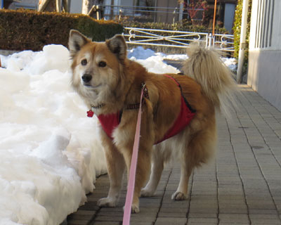 �L�����E�E�E