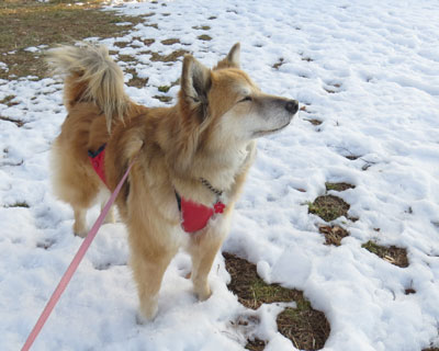 �G�A�[�k��