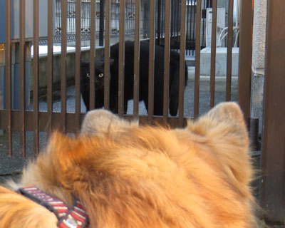 ���˂����񂪓{���Ă�