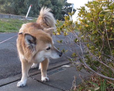 �}�k���͎��Ԃ�������