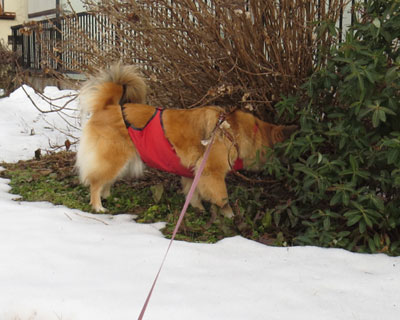 �����͓��ɏL�����炵��