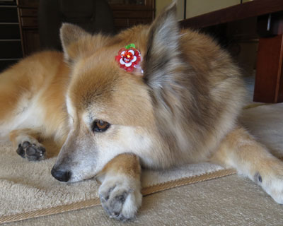 �܂����ꂽ