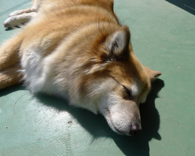 ���Ȃ������A���n�j