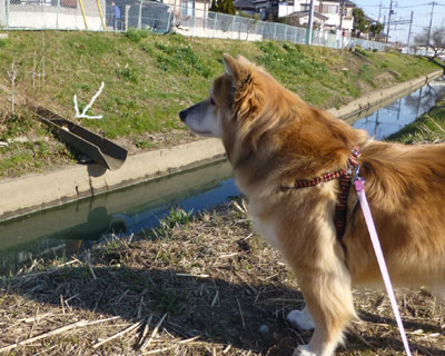 �˂��̋C�z������